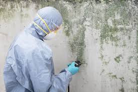 Best HVAC Mold Inspection and Cleaning  in Bethel, AK